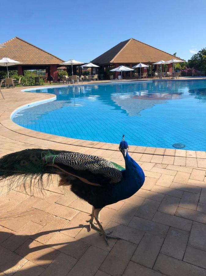 Praia Do Forte Village Das Acacias ภายนอก รูปภาพ