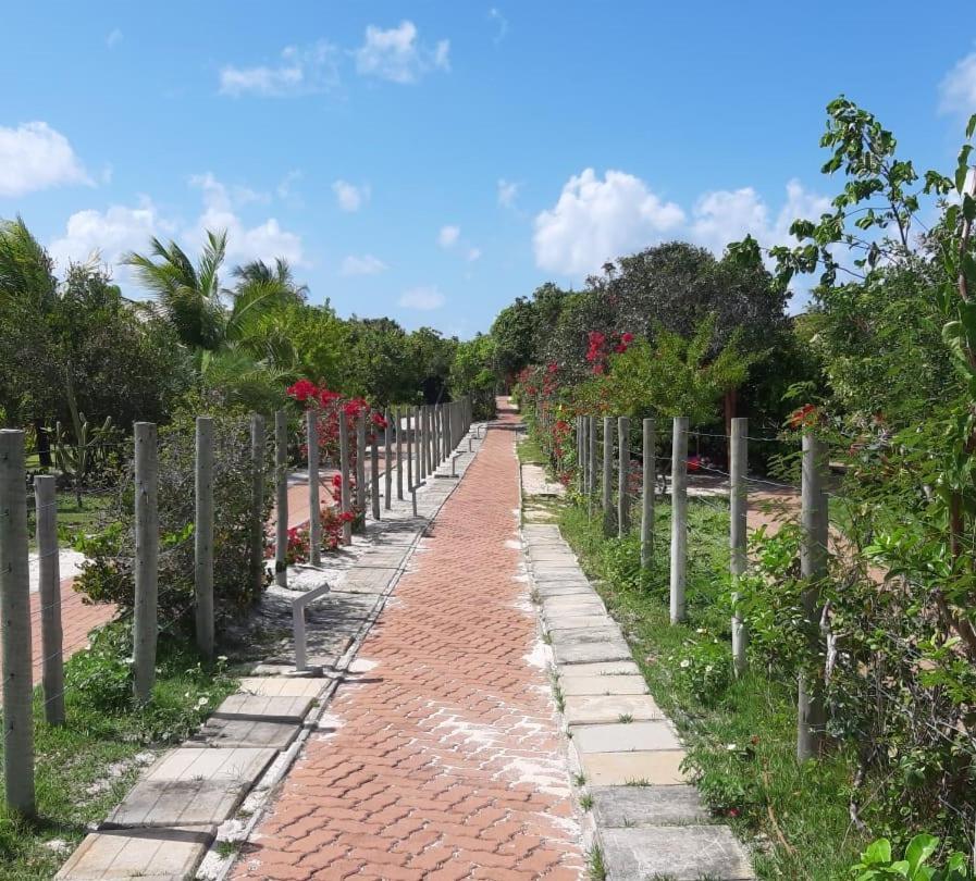 Praia Do Forte Village Das Acacias ภายนอก รูปภาพ