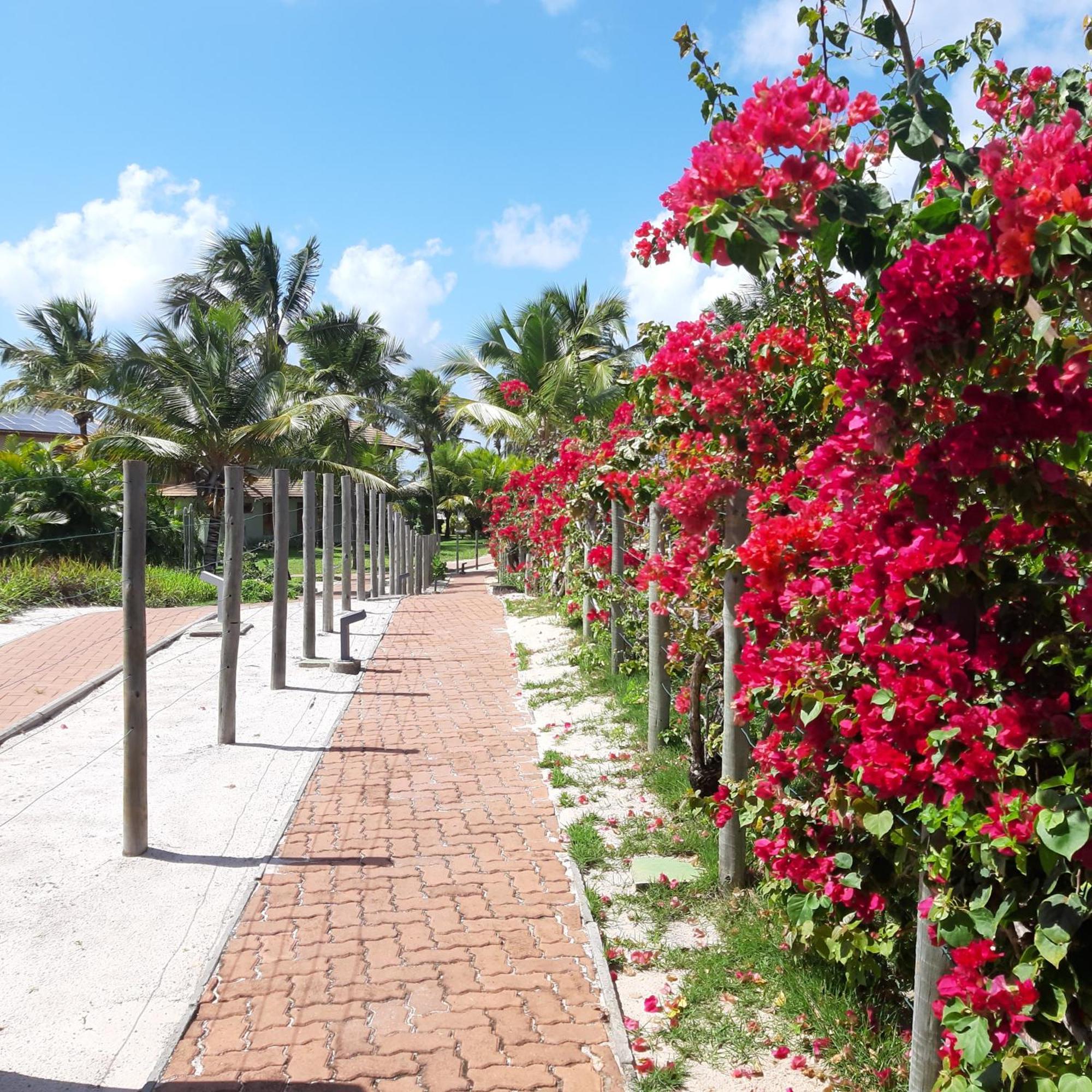 Praia Do Forte Village Das Acacias ภายนอก รูปภาพ